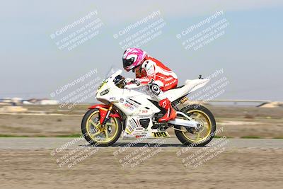 media/Feb-21-2025-Lets Ride (Fri) [[f483f33afd]]/A Group/1220pm (Wheelie BUmp)/